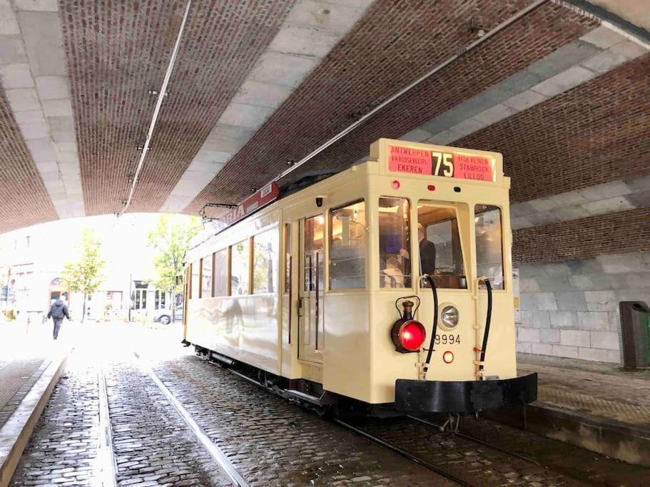 Cozy Antwerp - Zurenborg Skyline Eksteriør bilde